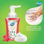 MicroDefence_Foaming_Handwash_Combo_Natural_Tulsi__1.jpg